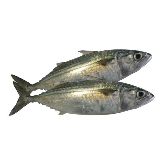

Ikan Kembung 500 gram