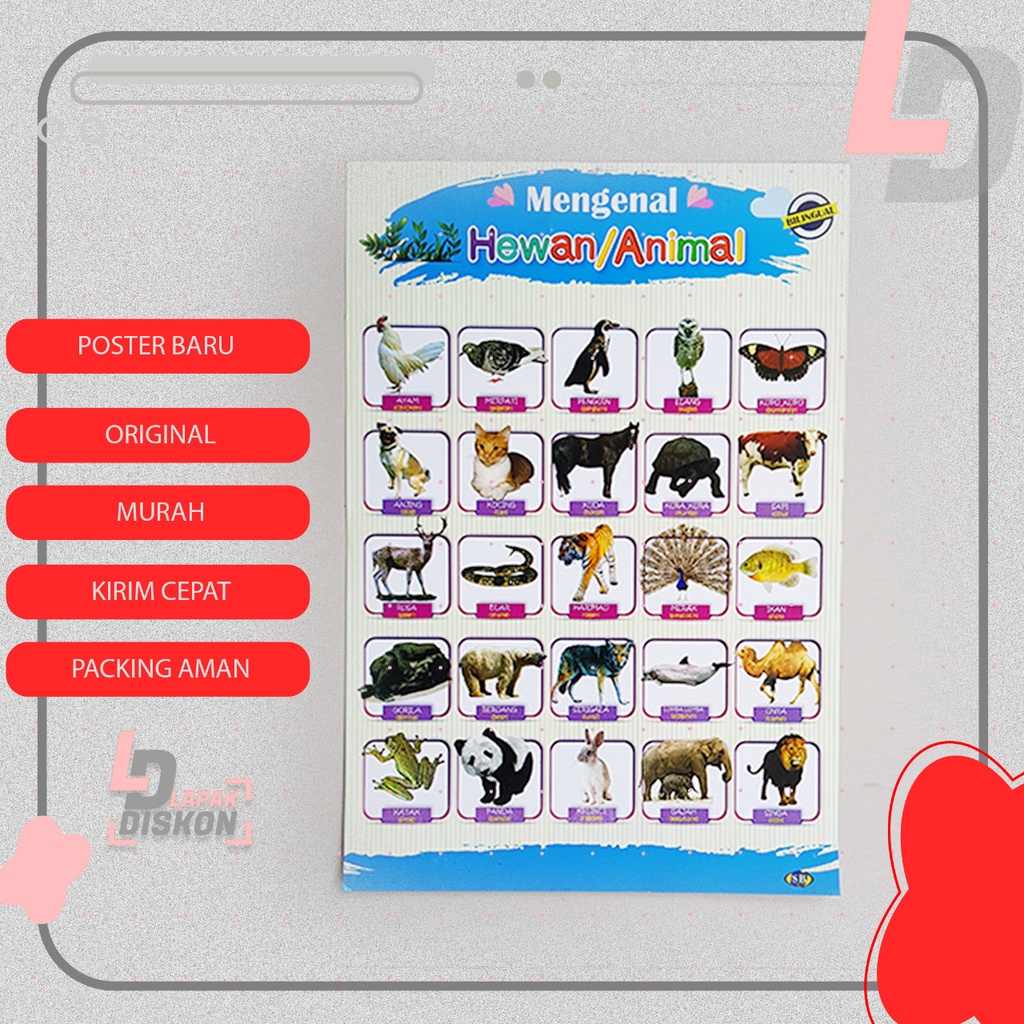

POSTER EDUKASI MENGENAL HEWAN