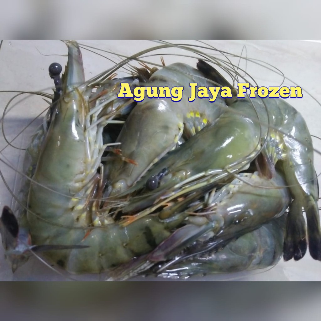 UDANG TIGER  ISI 12-14 EKOR PER 500 GR