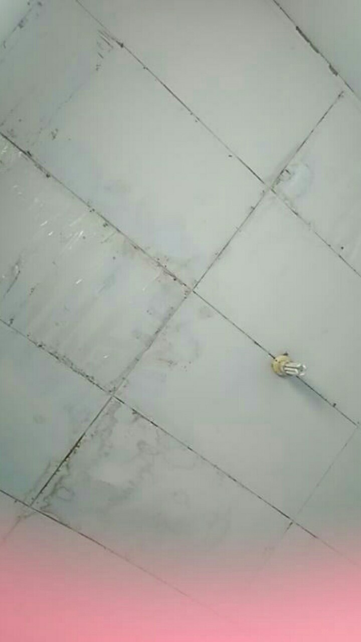 Sunlife Teko Plastik Jumbo Fiesta 4,3  Liter