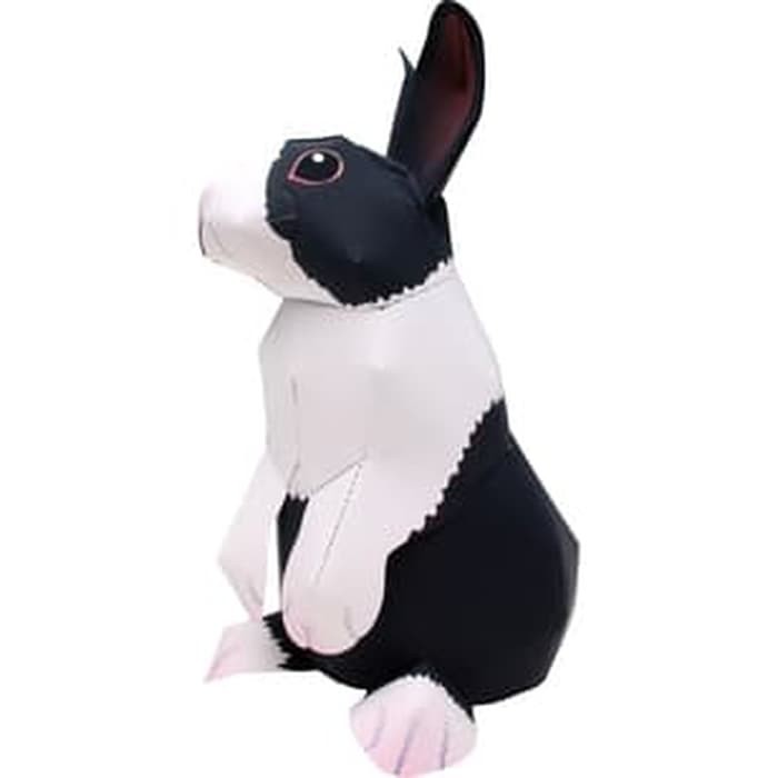 67 Gambar Hewan Kelinci Hitam Putih Terbaru