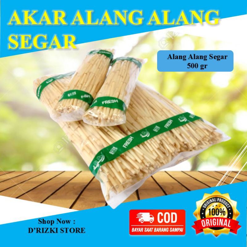 

PROMO Akar Alang Alang Super Segar Jamu Herbal Tradisional