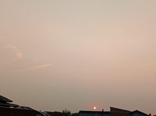 Murah!!! Payung Tongkat 16 Jari Kokoh