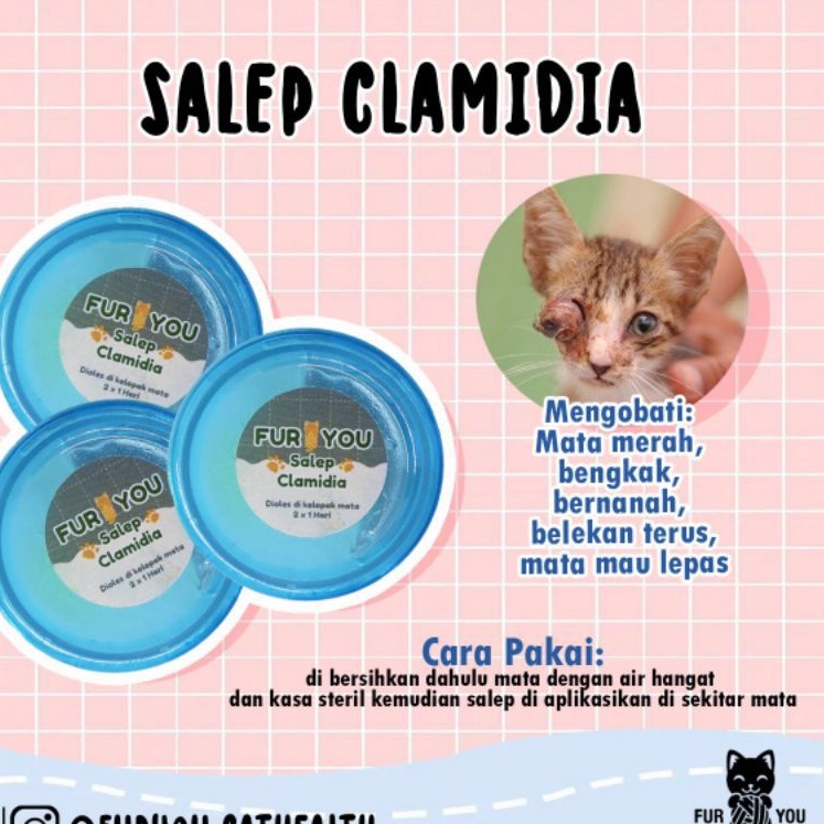 Jual Salep Mata Clamidia Kucing Mengobati Mata Bengkak Bernanah Belekan Terus Mata Mau Copot Indonesia Shopee Indonesia