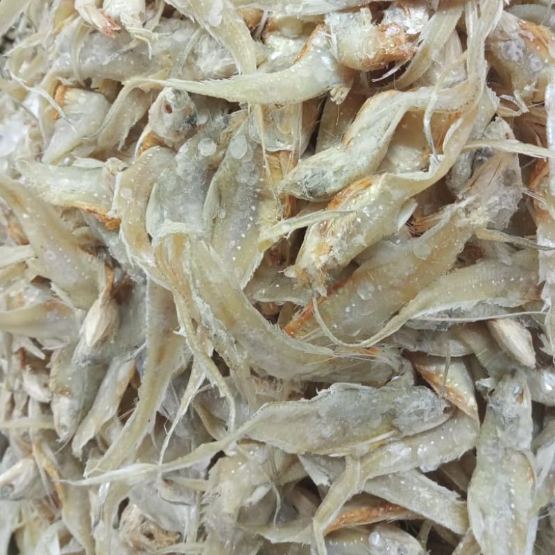 

IKAN KERING BULU AYAM