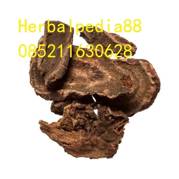 

Da Huang 大黄 Rhubarb root 100 gram