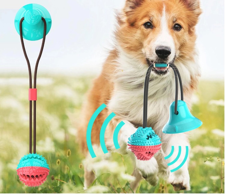 Interactive Molar bite Tug of War Single
