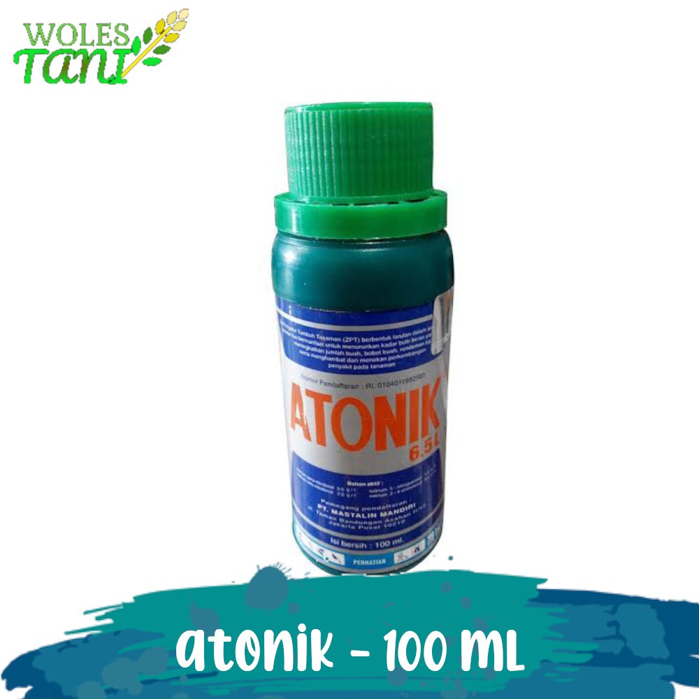 Atonik 100 ml ZPT