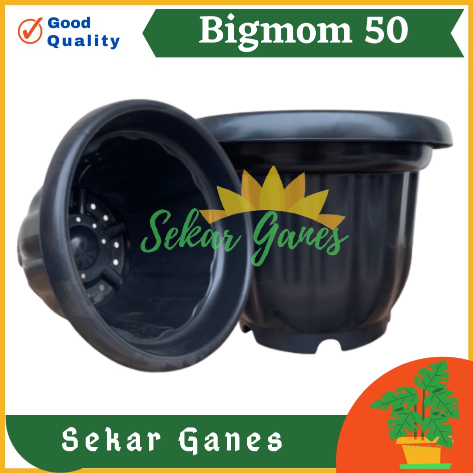 ONLY SAMEDAY AND INSTAN Pot BIGMOM 50 Hitam - Pot Besar Jumbo 50cm Pot Besar Plastik Bahan Tebal - Pot Besar Jumbo 100cm 50cm 40cm Putih Tinggi Hitam