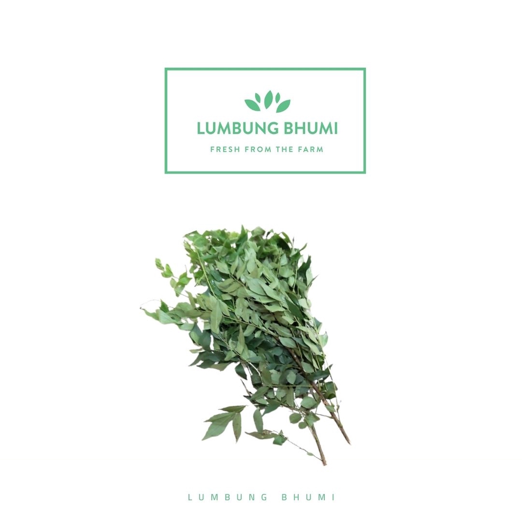 

RB Daun Kari Curry Sayur 250 Gr - Lumbung Bhumi