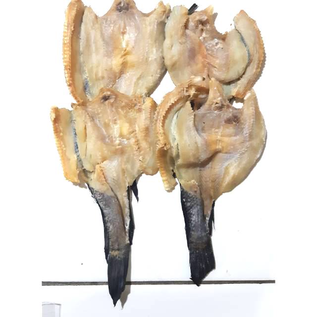 

Gabus 1kg lebih murah