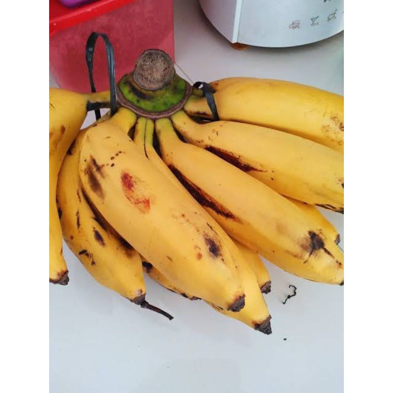 

Pisang Uli Tua / Pisang Uli Super / Dijual per Sisir / Toko Tepi