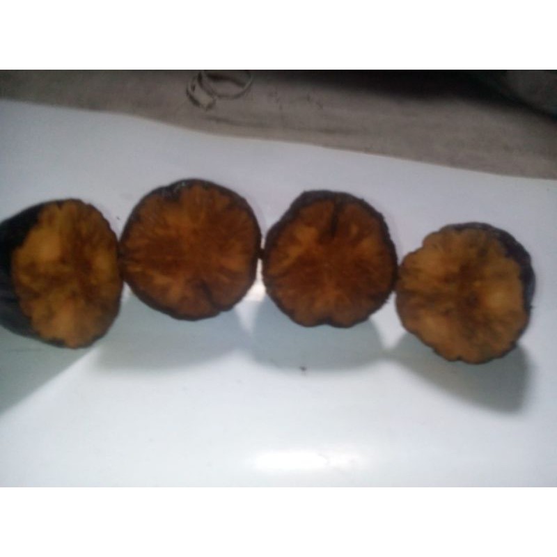 biji kaukah buta atau buntat