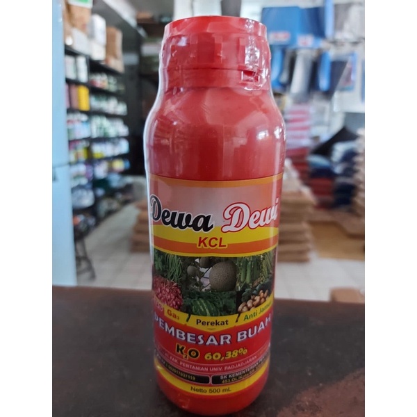 Dewa dewi Kcl cair 500ml (pembesar buah)