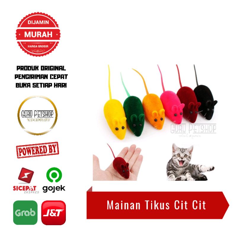 Tikus Cit Cit Mainan Kucing Interaktif Bentuk Tikus Bunyi Cit Cit Cat Toys Random NoGaransi