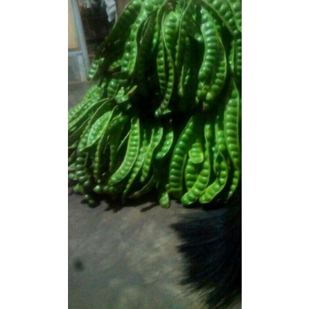 

pete cocok buat makanan