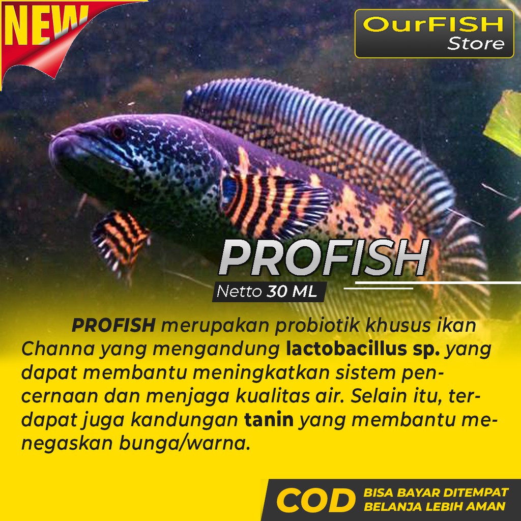 Vitamin Ikan Channa PROFISH untuk Ikan Predator Channa Oscar Peacock Bass Arwana Palmas Chana Maru