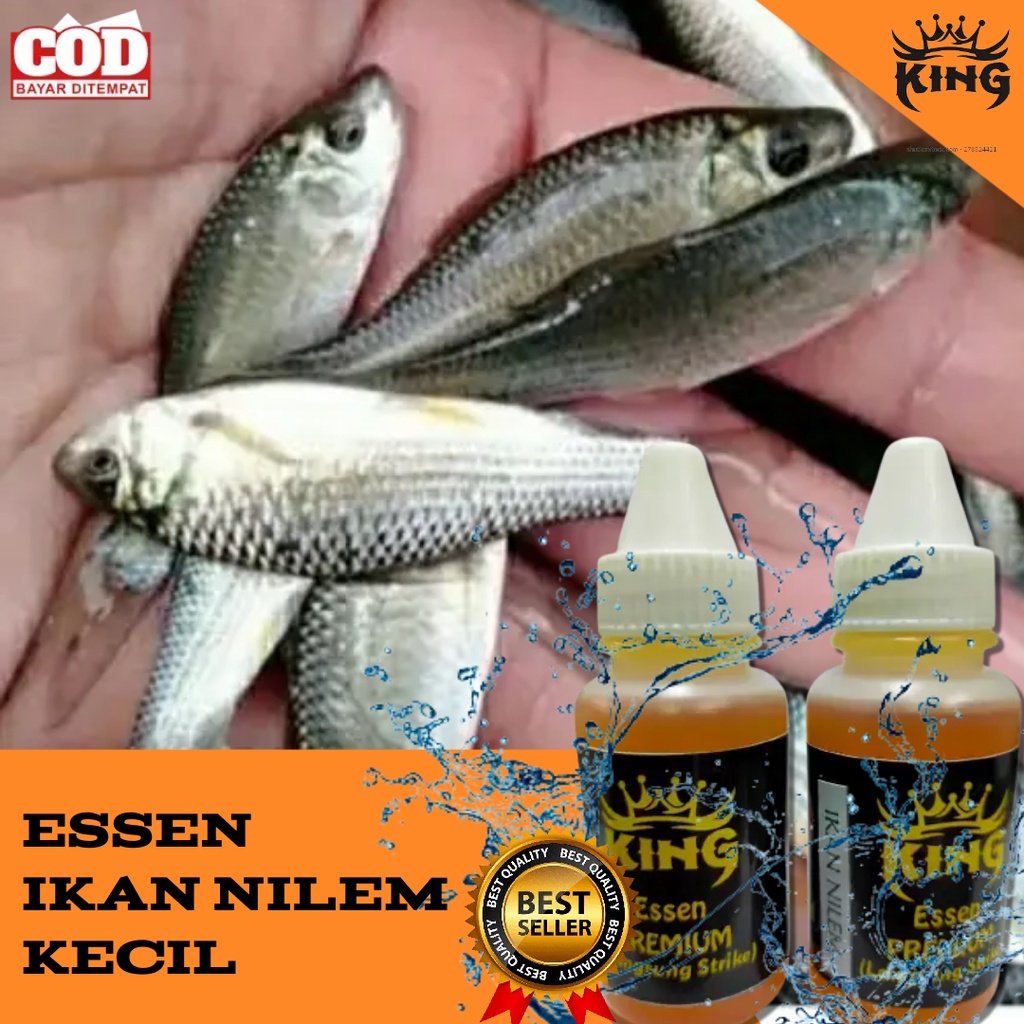 Essen Ikan NILEM Kecil 30ml-KING Esen PREMIUM
