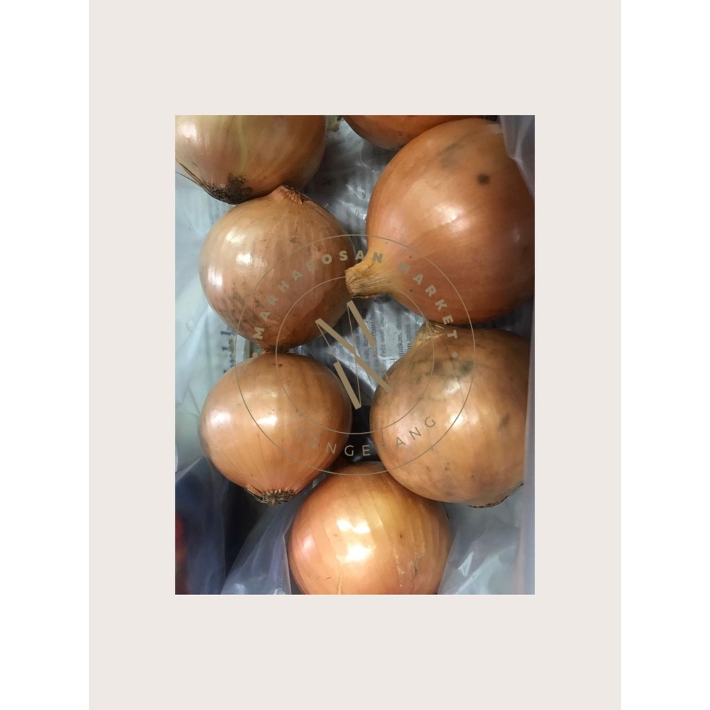 

Bawang Bombay 500gr