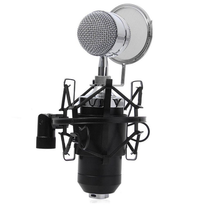 BM8000 Profesional Mikrofon Condenser With Stand Holder BM 8000