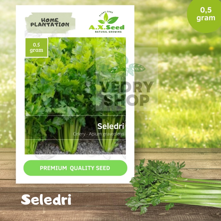 Benih Bibit Seledri AX Seed