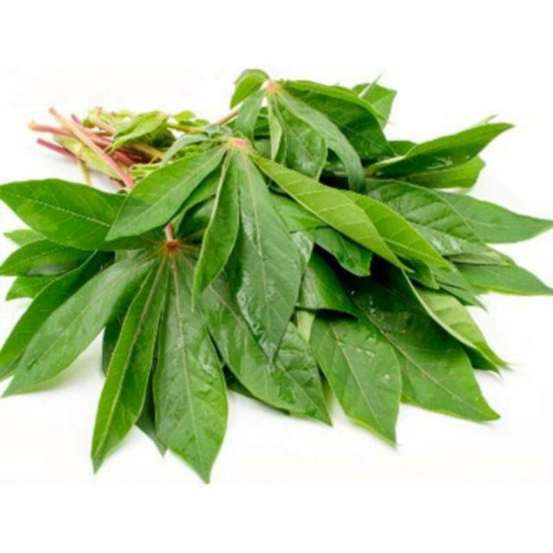 Daun Singkong Segar Fresh Perikat