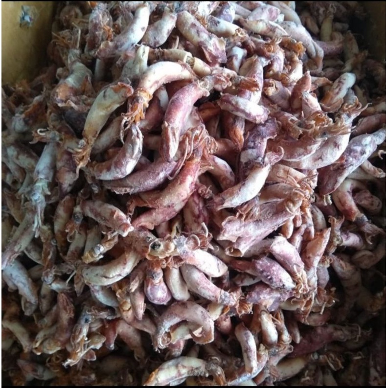 

Cumi Asin Sotong Kering 100gr