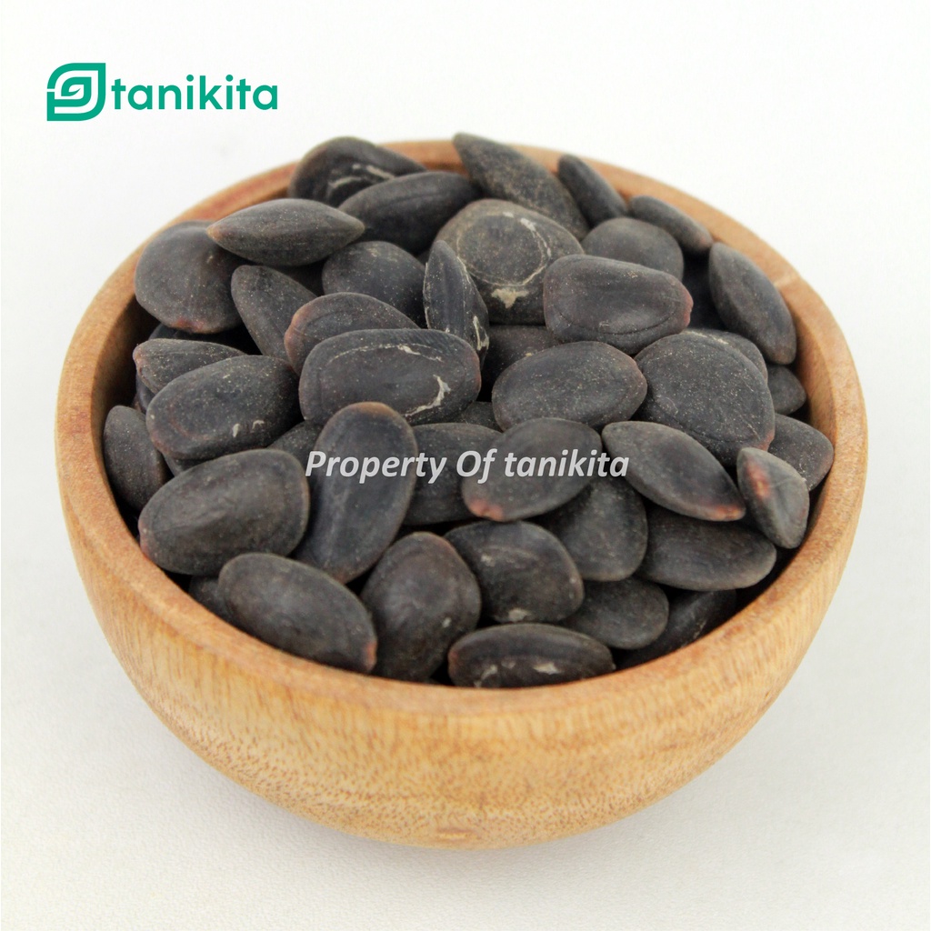 Biji Kedaung Kering 100gr - Biji Kedawung Kering