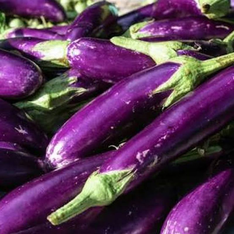 

Terong Unggu 500gr