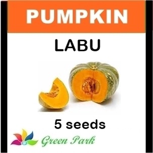 Benih Biji Labu Kuning - Labu Parang Pack - GP