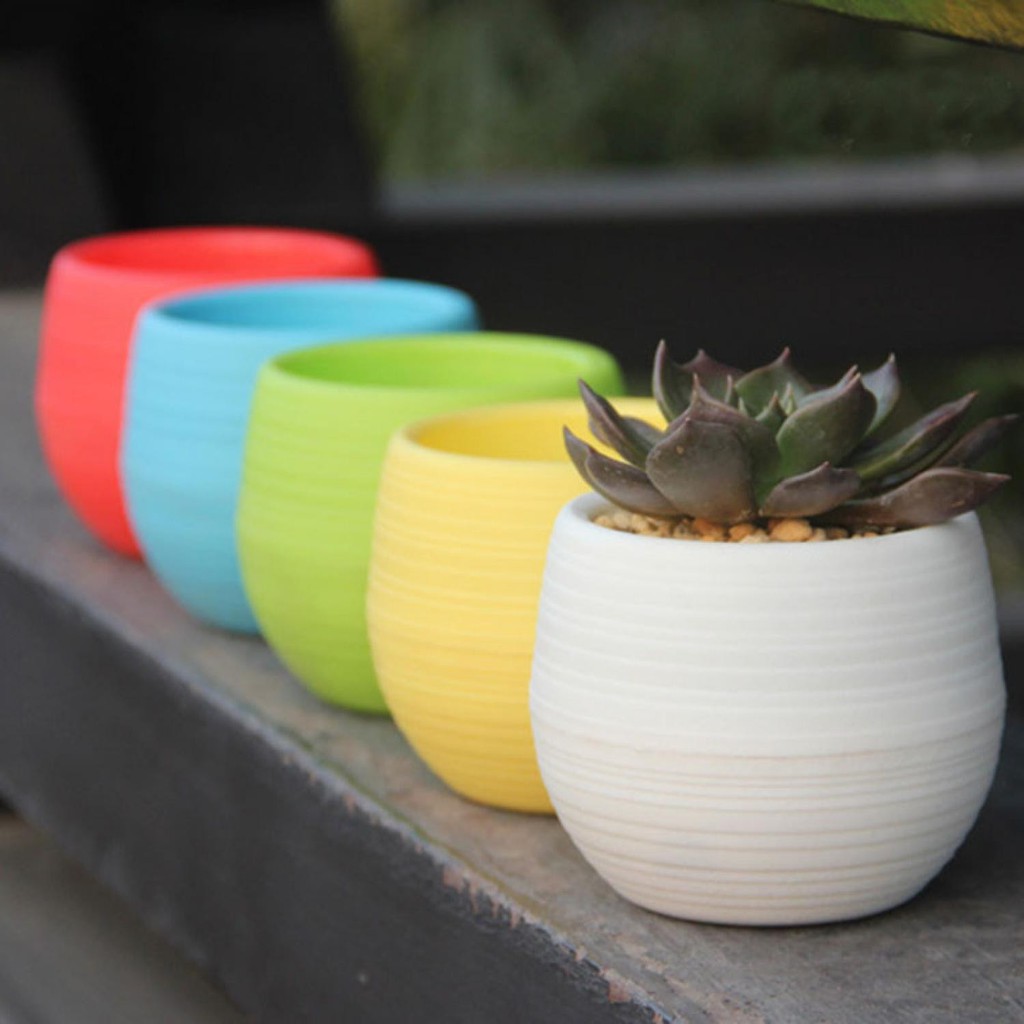 Bayar Ditempat Mini Pot Bunga Hias Kaktus Tanaman - 5pcs