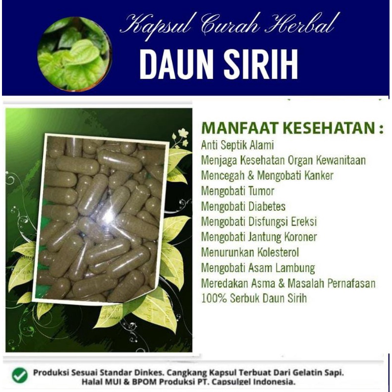 Jual Daun Sirih Kapsul Curah Herbal Shopee Indonesia