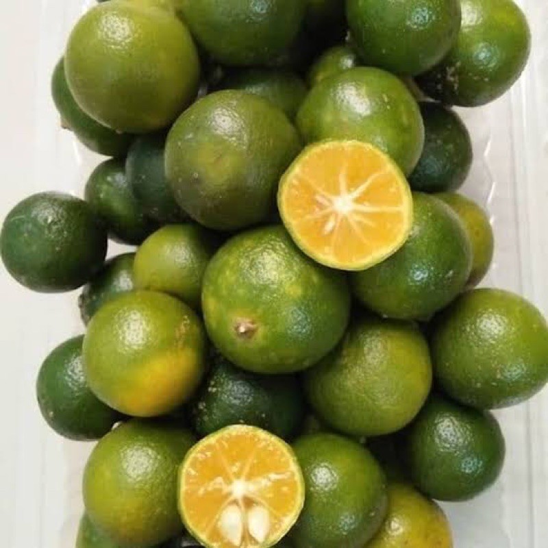 

Jeruk Sonkit Organik 500g