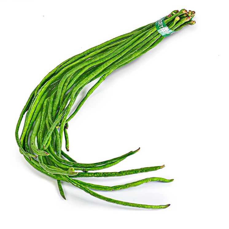 

Kacang panjang Organik 200 g