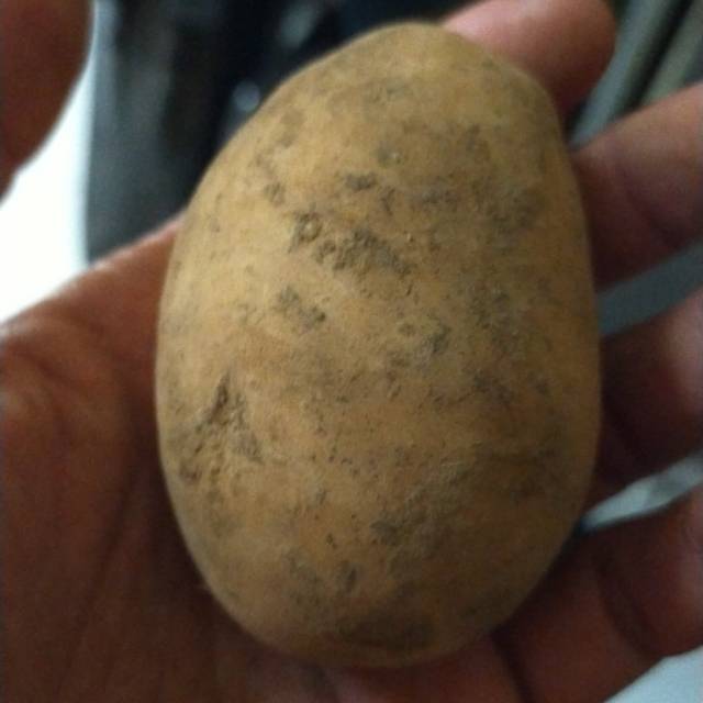 

Kentang grade A 1/2