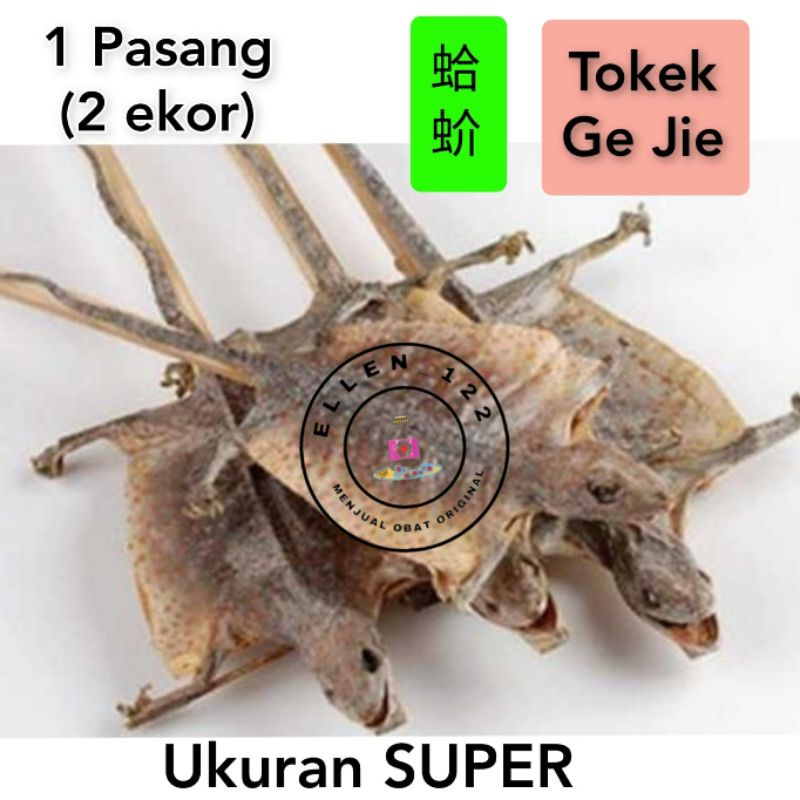 1 Pasang 2 Ekor - TOKEK KERING obat asma - batuk - sesak nafas manjur