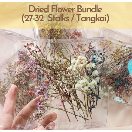 MIXED Dried Flowers (25-30 Tangkai)