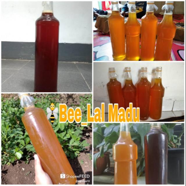 

Madu Odeng ASLI