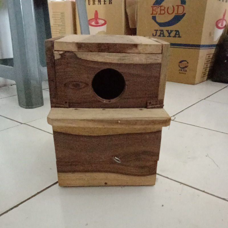 GLODOK GLODOKAN BURUNG LOVEBIRD