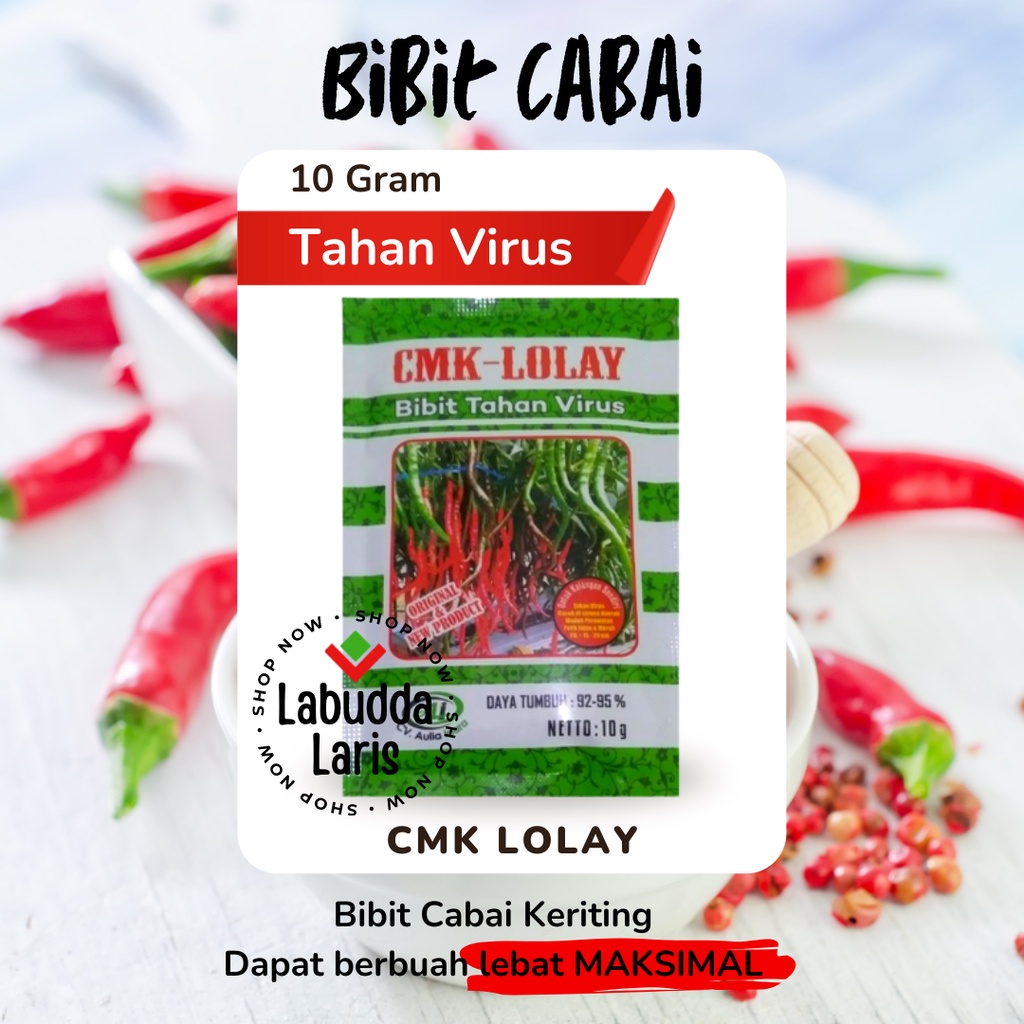Bibit Cabai Keriting Benih Cabe Keriting Benih Cabai Keriting CMK Lolay Benih Cabe Keriting Tahan Vi