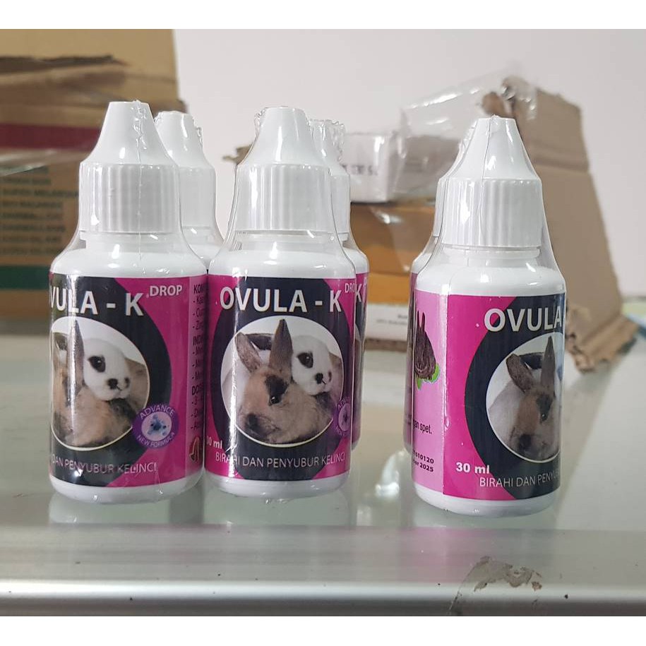 Ovula-k 30ml Kelinci