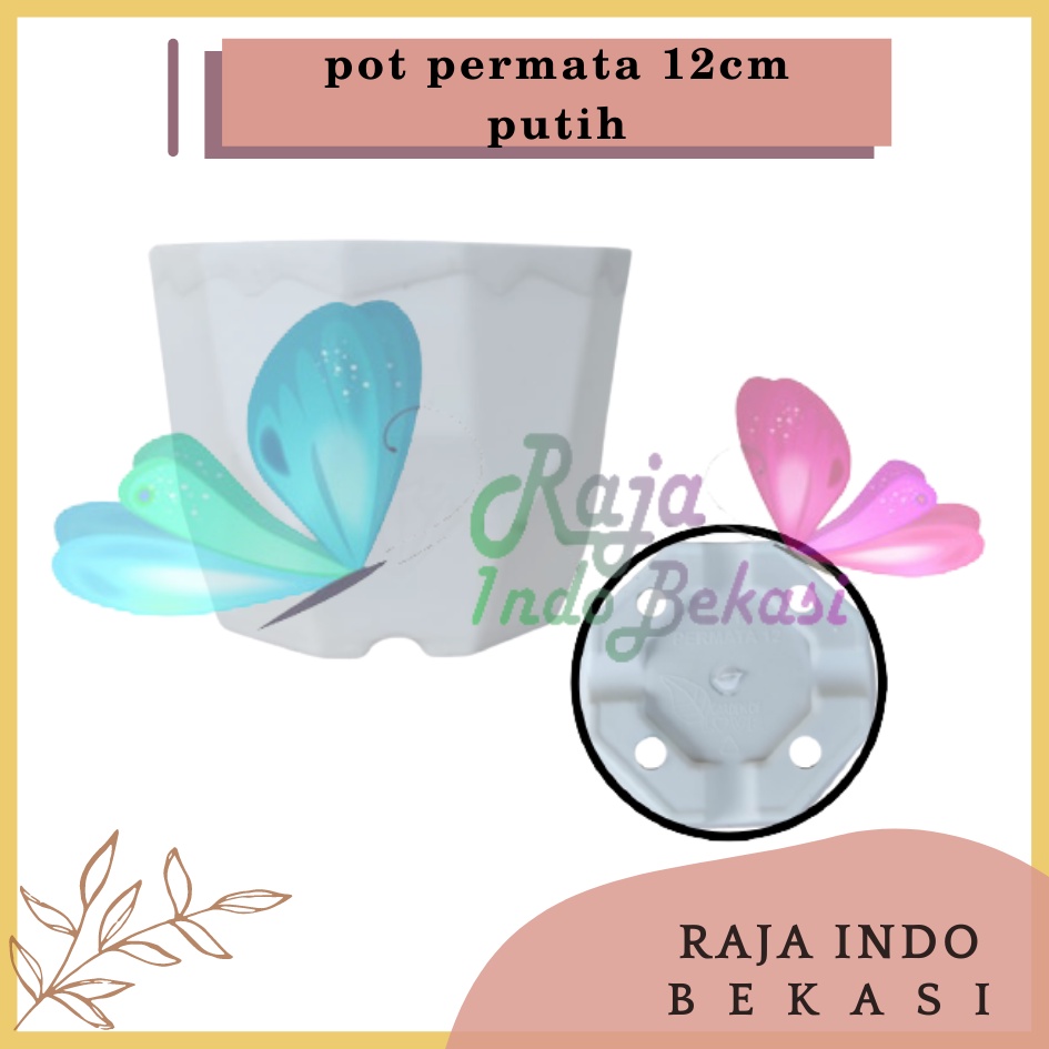 Pot Permata 12 Putih Da 10.5cm Garden Of Love Pot Kaktus Sukulen Mini Murah Bkn Pot Tawon 10 12