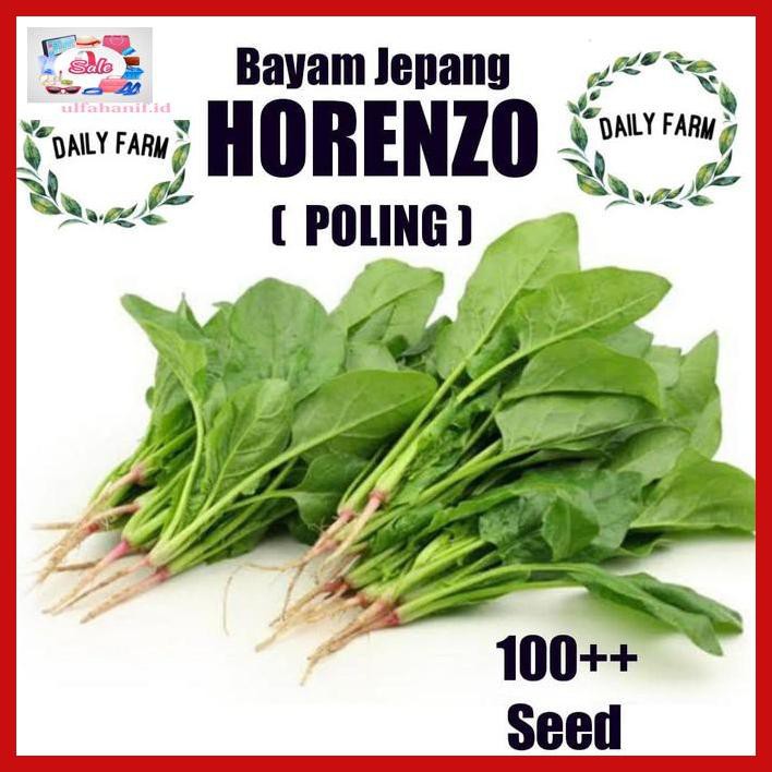 

R5Dgt6- Benih Bibit Bayam Jepang Horenso - Daun Poling Horenzo Kemasan Repack Yu9I5E7-