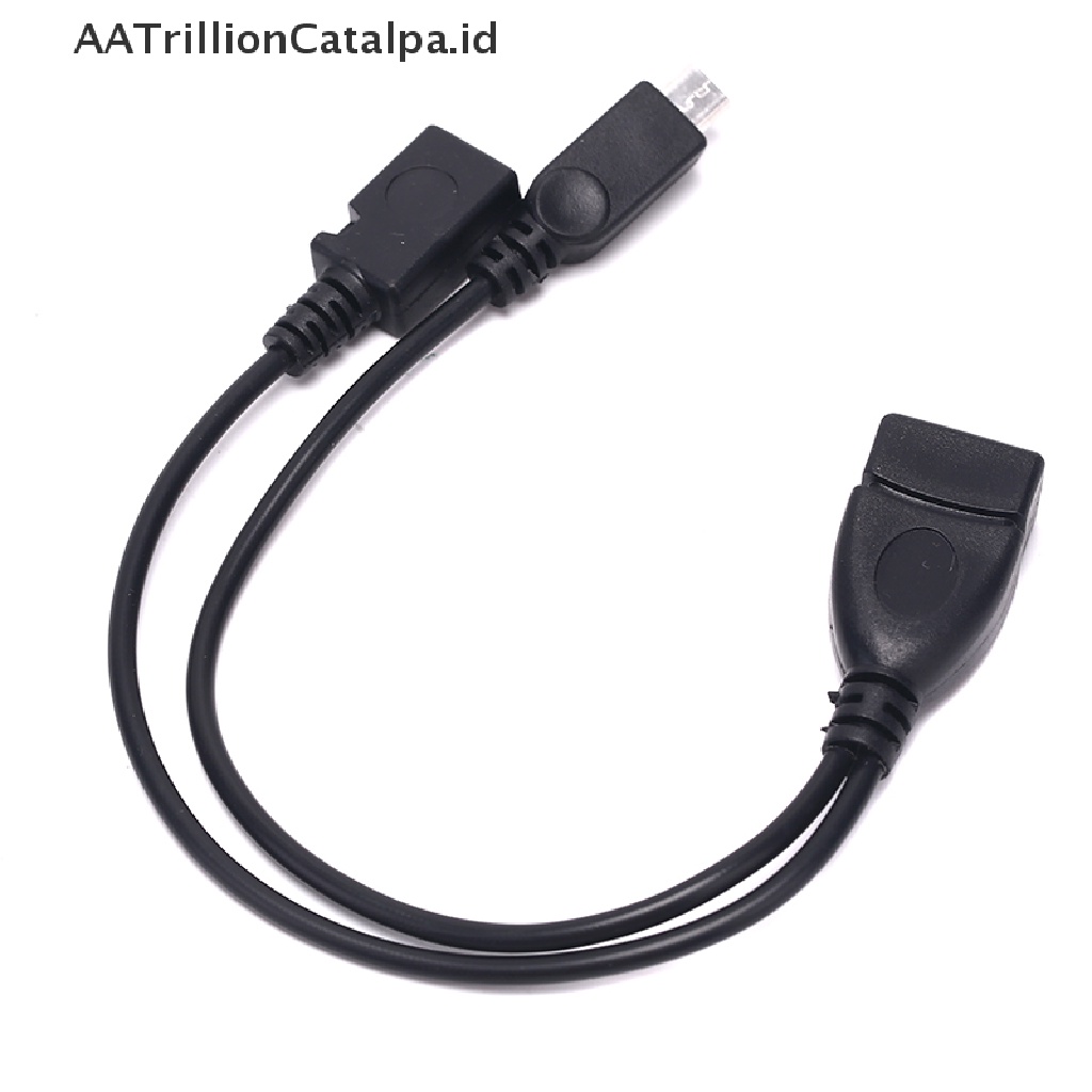 Aa Kabel Adapter Power Splitter Y Trillioncatalpa OTG Male Ke USB A Male Female