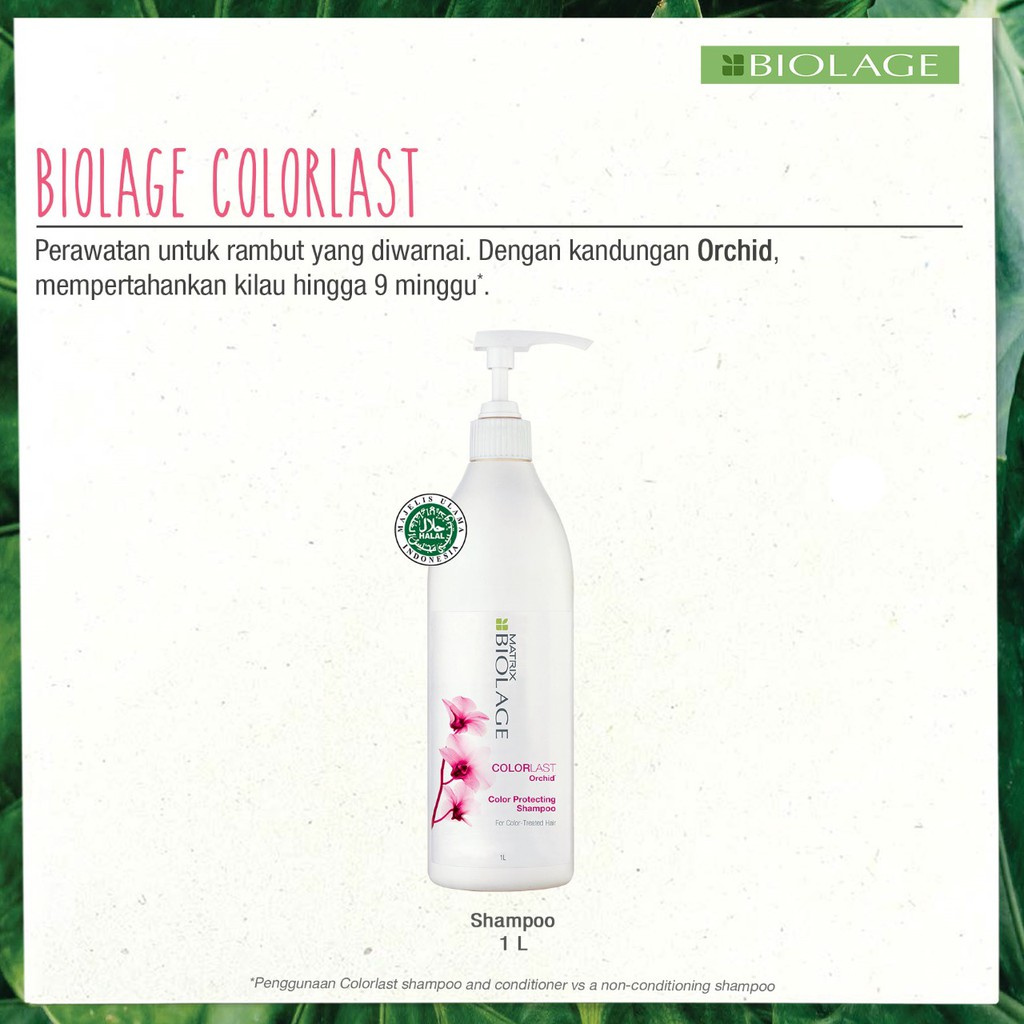 ☘️Yuri Kosmetik☘️ Matrix Biolage Shampoo 1L