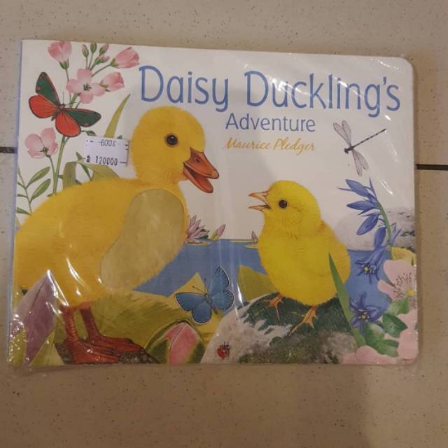 [ORIGINAL] Boardbook Daisy Duckling's Adventure - Maurice Pledger - Buku BBW - Buku Import
