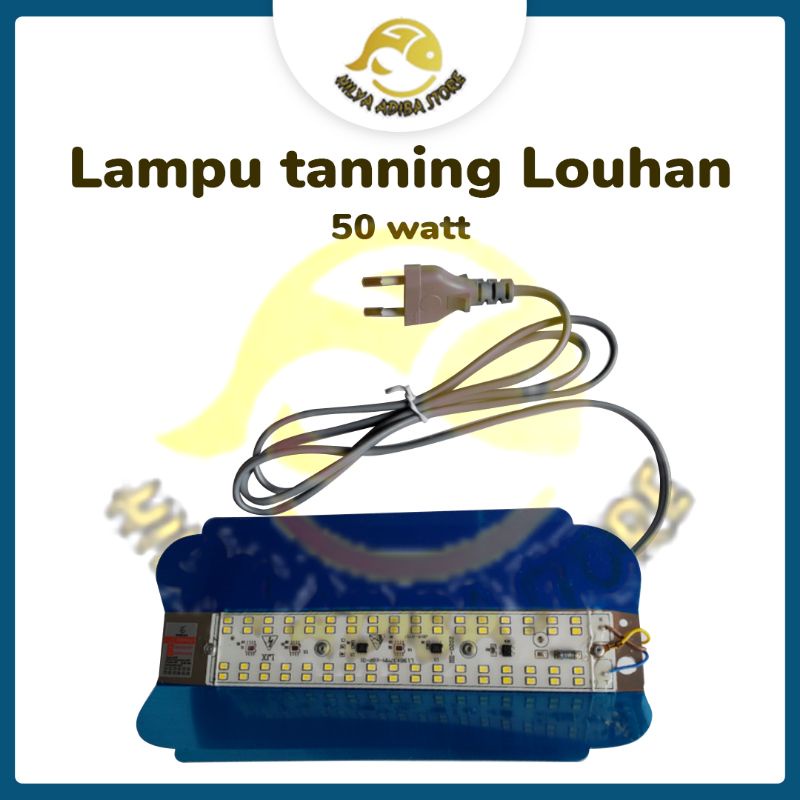 lampu tanning louhan