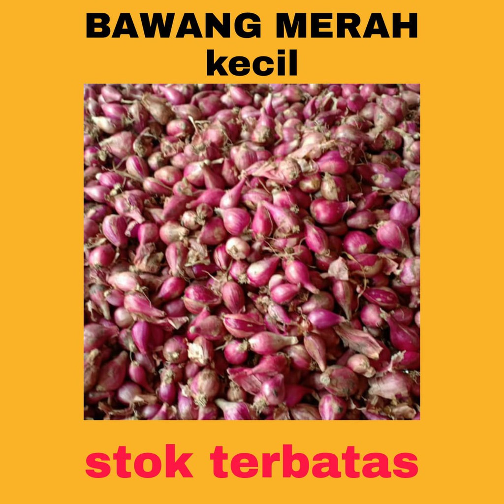 

Bawang Merah Brebes (ukuran sedang-kecil)