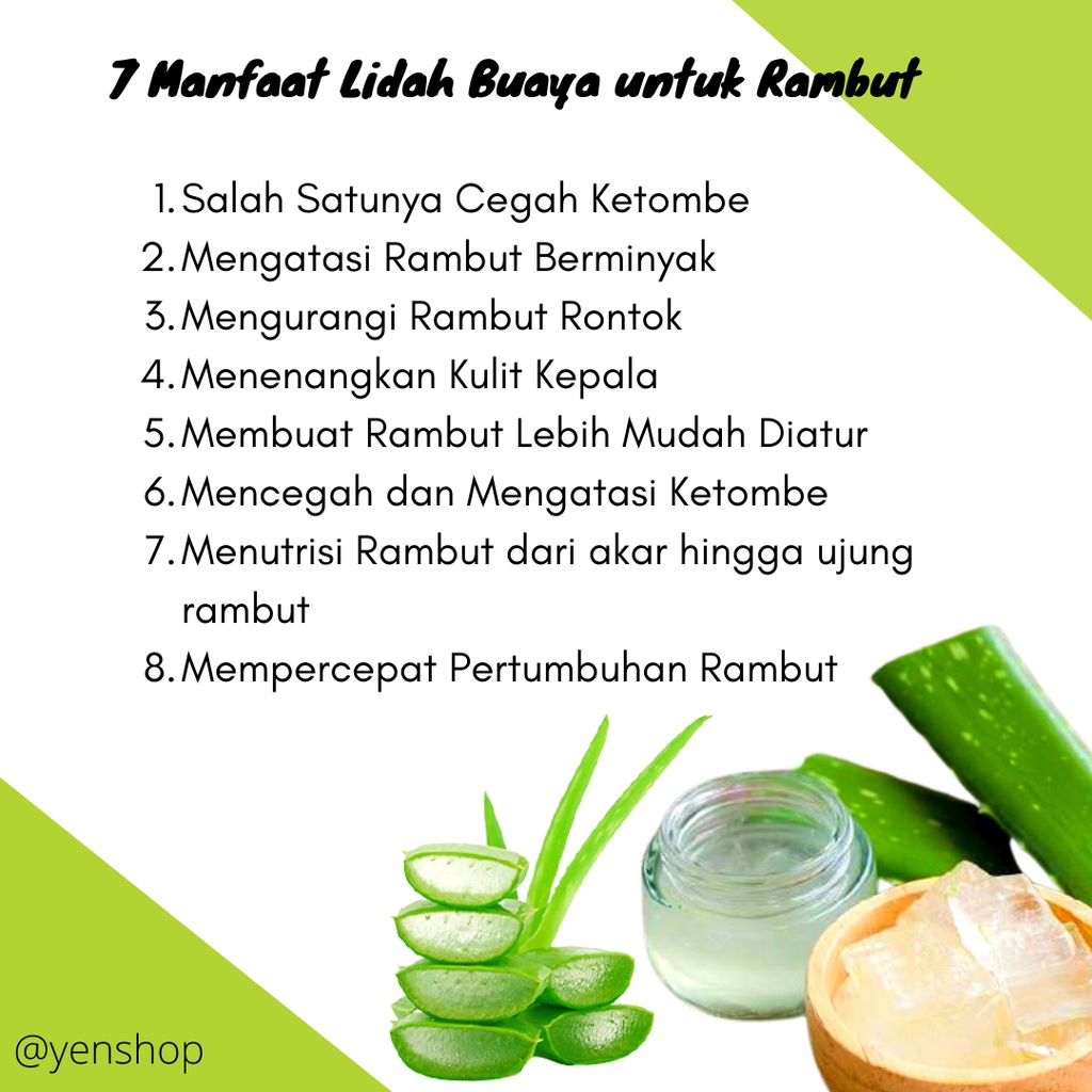 BMKS Olive Shampoo shampo sampo sampho bmks olive zaitun penumbuh perawatan pemanjang penebal pelebat rambut treatment rambut anti botak dan rontok dan ketombe rusak parah dengan cepat panjang dan ampuh murah anak pria wanita