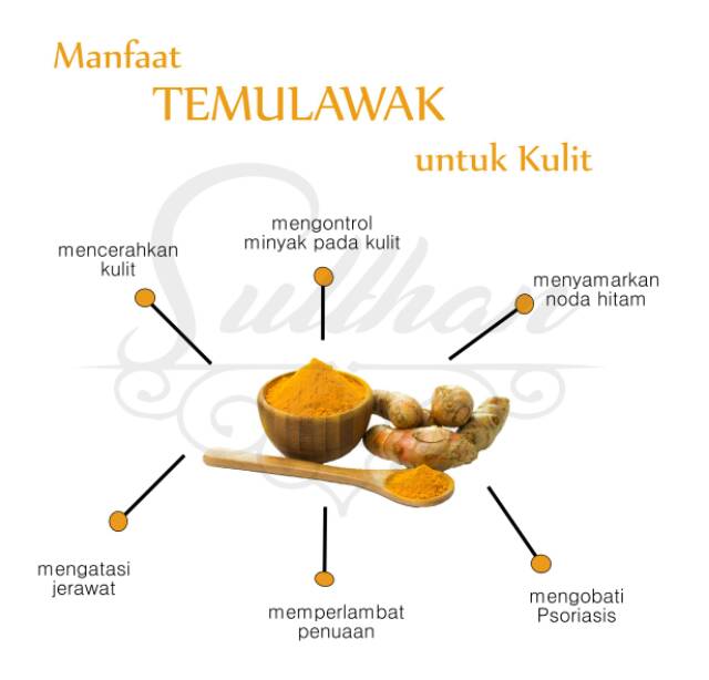 Paket Perawatan Wajah SULTHAN TEMULAWAK - Krim Temulawak